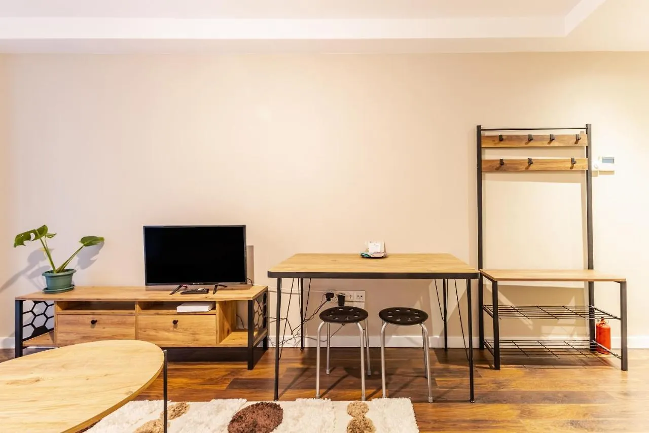 Apartmán Chic And Convenient Flat In Kagithane Istanbulská provincie